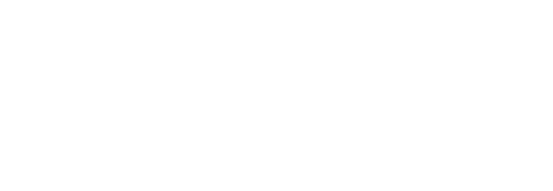 ALAMOO Logo 500