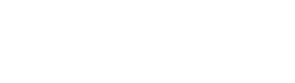 DevVortex-White-Logo