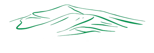 top cash offer white 500